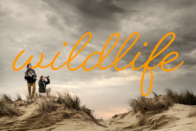 Pulsar Wildlife - Six New Thermal Imagers from Pulsar Blog Post Image - Night Master