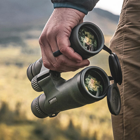 Binoculars Collection Image