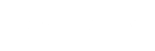 DJI Enterprise Logo White