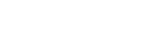 Pulsar Logo White