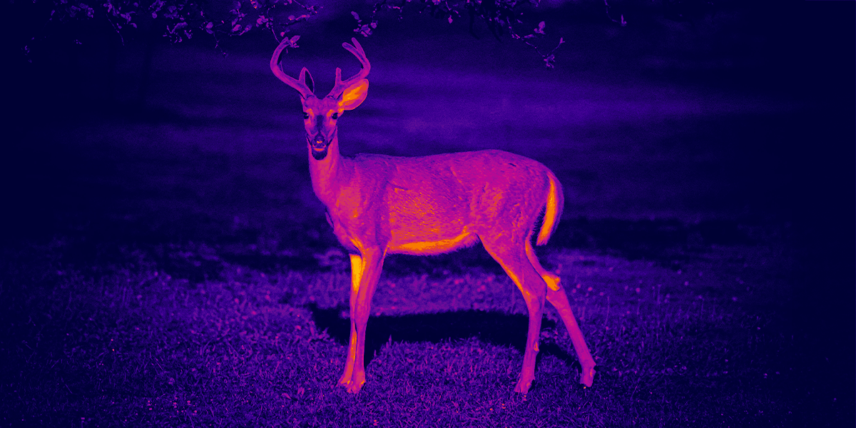 Thermal Imaging Comparison