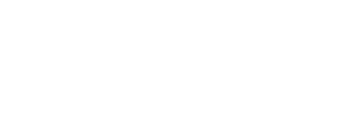 Vortex Optics Logo White
